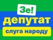 В Закарпатье на выборах победил бренд Зеленского 