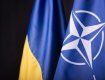 В НАТО сказали, что будущее Украины в Альянсе