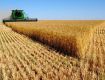 Словакия расширит эмбарго на украинскую агропродукцию до 14 позиций 