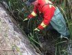 В Закарпатье спасатели сделали то, на что не хватило смелости у "заботливых" местных жителей 