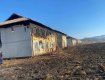 В Закарпатье "добрые люди" превратили в пепелище комплекс за 120 миллионов гривен (ФОТО)