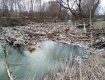 Огромную пробку образовал мусор в реке Боржава в Закарпатье