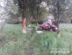 Дорога в Закарпатье "отметилась" крепким "поцелуем" иномарки с деревом вне кювета — два человека погибли