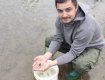 В Закарпатье в водоемы заселили редкую рыбу из Красной книги