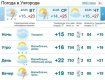 В Ужгороде будет держаться облачная погода, ожидается дождь