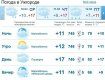 Прогноз погоды в Ужгороде и Закарпатье на 10 апреля 2019
