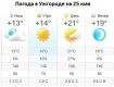 Прогноз погоды в Ужгороде на 25 мая 2019