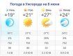 Прогноз погоды в Ужгороде на 8 июня 2019
