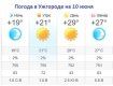 Прогноз погоды в Ужгороде на 10 июня 2019