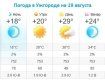 Прогноз погоды в Ужгороде на 19 августа 2019