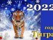 2022 год Голубого Водяного Тигра несет массу приятных сюрпризов