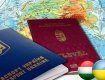 Кулеба оценил шансы введения двойного гражданства в Украине