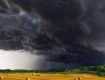 В Закарпатье синоптики предупреждают о резком изменении погоды 