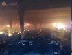 В Закарпатье масштабный пожар превратил предприятие в руины