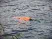 В Закарпатье по реке плавало тело местного жителя