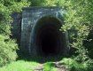 В Закарпатье нерабочий тоннель может стать аттракцией для туристов