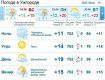 Сегодня в Ужгороде будет облачно, вечером дождь