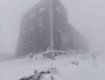 Пізній травневий сніг сильно "похурделив" в горах на Закарпатті