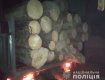 Не проскочил: В Закарпатье задержали КАМАЗ полный древесины