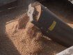 Словакия ввела запрет на продажу украинского зерна и муки - нашли пестициды