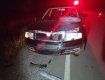 ДТП в Закарпатье: Убийца пешехода сама позвонила в полицию