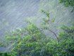 В Закарпатье пронеслась мощная буря - срывало крыши и валило деревья