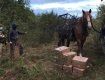 "Лошадь Пржевальского" с контрабандой на границе Ураины остановила только автоматная очередь