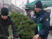 Недобросовестных продавцов елок в Ужгороде штрафуют