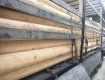 В Закарпатье раскрыли схему незаконной переправки через границу оптовых партий древесины