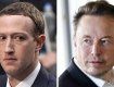 мериканские техно-миллиардеры Маск и Цукерберг собираются сразиться в клетке