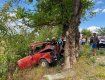 Жуткое ДТП в Закарпатье: ВАЗ размазало о дерево, тело водителя вырезали из авто