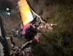 Трагическая авария в Словакии: При падении фуры с моста погиб водитель из Украины