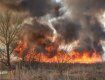 В Закарпатье пьяный поджигатель сухой травы попал в реанимацию - у парня ожоги 60% тела