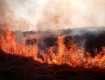 В Закарпатье горела сухая трава: погибшую женщину нашли спустя неделю 