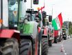 Венгерские фермеры собираются протестовать на границе с Закарпатьем