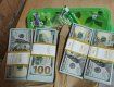 В Закарпатье на границе у мужика изъяли валюту на 700 тыс гривен