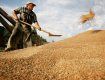 Румыния не планирует запрещать ввоз зерновых из Украины