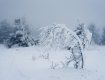 Опасность, гололедица и снег: Зима в Закарпатье таки придет