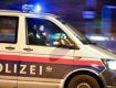 В столице Австрии украинец в трусах накостылял двум полицейским