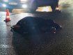 ДТП среди бела дня: 15-летний торопыга из Мукачево из-за собственной беспечности угодил под колеса