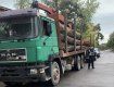 В Закарпатье полицейские проверяют законность рубки и транспортировки леса