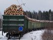 Украина продолжит уничтожать Карпаты: В Кабмине готовы разблокировать экспорт леса-кругляка в ЕС