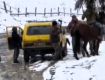 Мобилизация в Украине: Гуцулы пошли с топорами на ТЦКашников