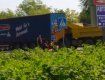 Страшное ДТП на Закарпатье: грузовик сбил девушку-велосипедистку