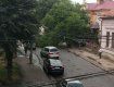 ЧП в Мукачево: Гигантское дерево заблокировало дорогу 