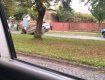 ДТП в Мукачево: Автомобиль по непонятным причинам "приземлился" на крышу