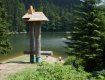 Найцікавіша туристична "родзинка" Закарпаття — озеро Синевир