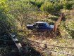 Поліцейські Закарпаття розкрили угон транспортного засобу на Берегівщині