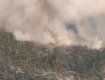 На Чернігівщині авіація допомагає ліквідовувати лісову пожежу на військовому полігоні