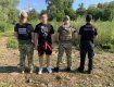 Больше десятка уклонистов поймали за сутки на границе в Закарпатье